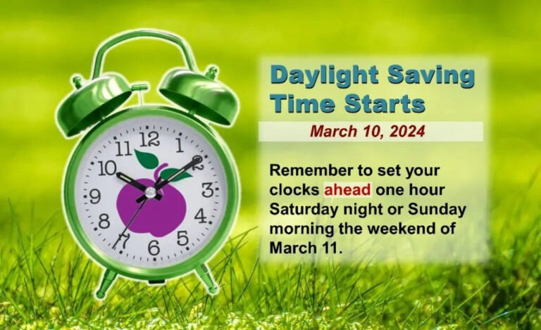 Daylight Savings Time 2024